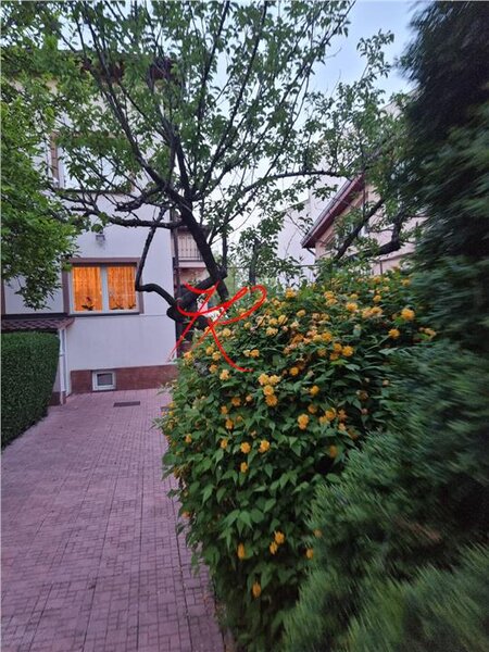 Tei - langa Parc Vanzare teren cu 2 vile